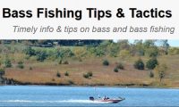 Bass Fishing Tips & Tactics