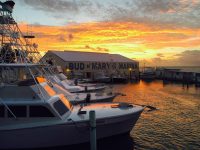 Bud N Marys Florida Keys Fishing Marina