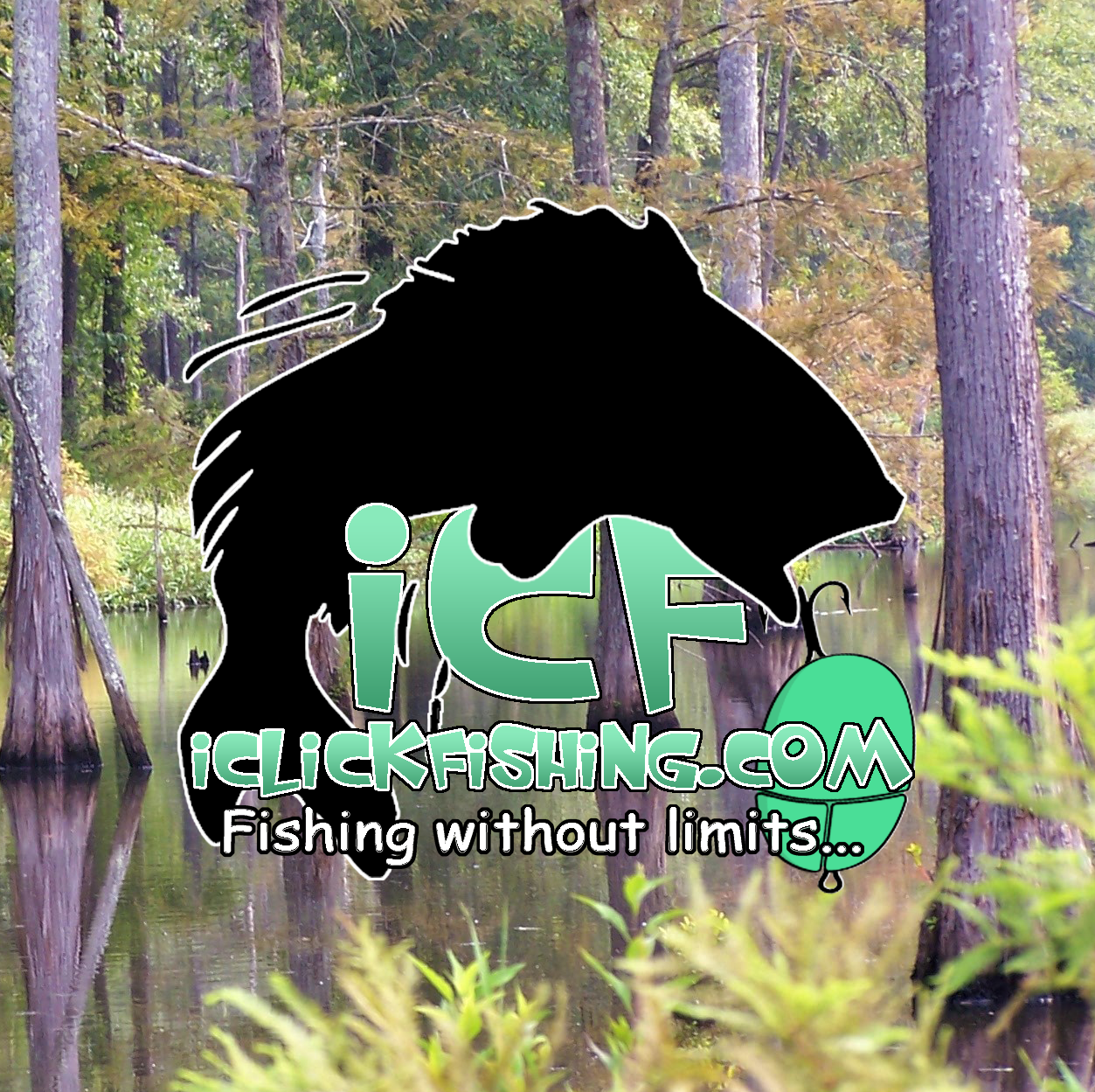 iClickFishing.com