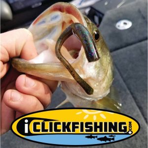 Fishing directory, reports, tips, news, fishing spots, adventures - iClickFishing.com