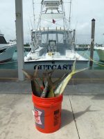Outcast Charter Fishing