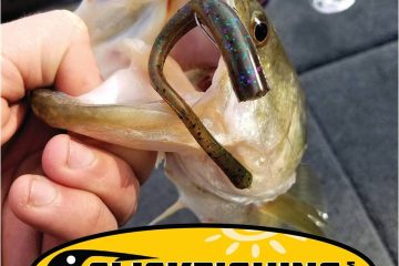 Fishing directory, reports, tips, news, fishing spots, adventures - iClickFishing.com